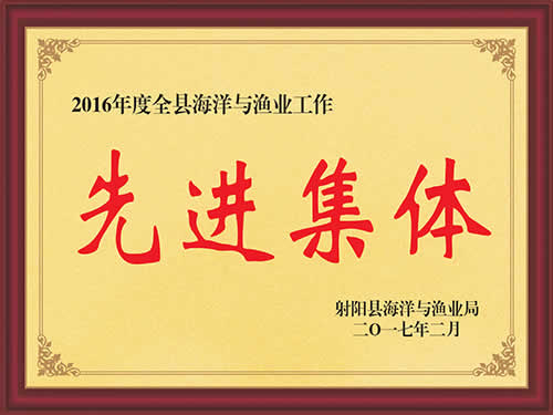 2016年度先进集体